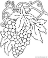 lamina para colorear dibujos del oto&ntilde;o. uvas, fruta de oto&ntilde;o